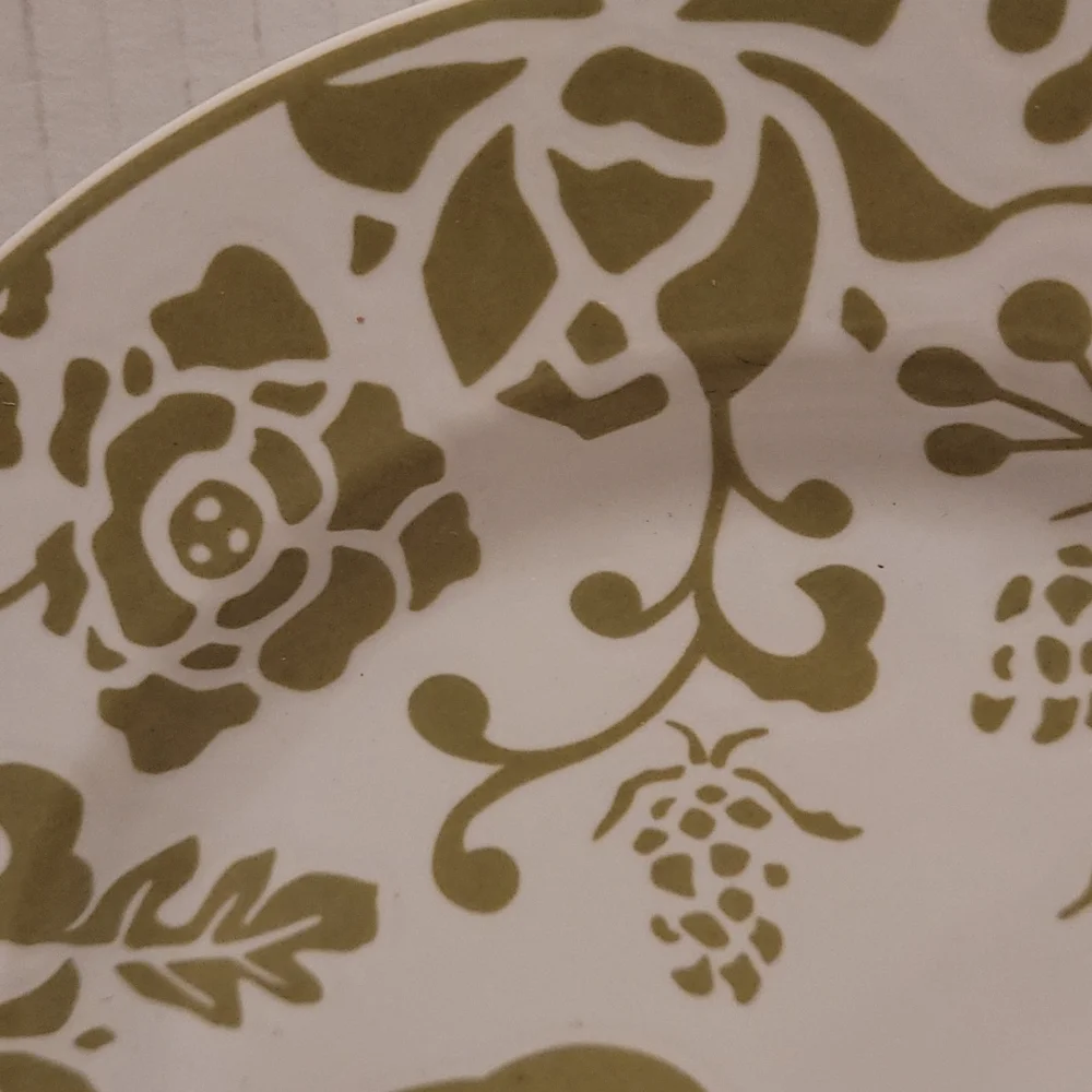 Beautiful Pier 1 Plate